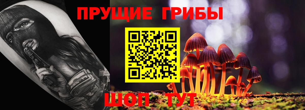 Майкоп  Галлюциногенные грибы ЛСД  Вход с VPN 